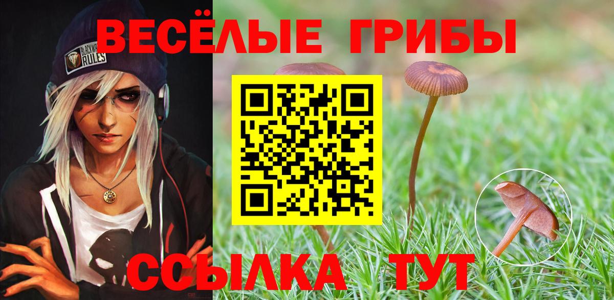 Муром  Псилоцибиновые грибы Psilocybe  Вход с VPN  Галлюциногенные грибы мухоморы 