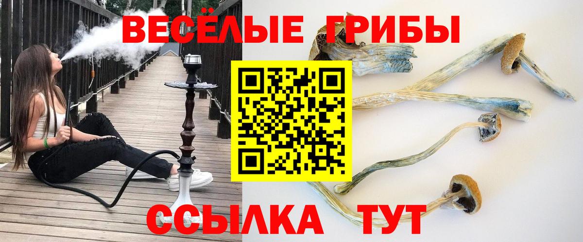 Галлюциногенные грибы ЛСД Муром